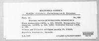 Puccinia caricis image